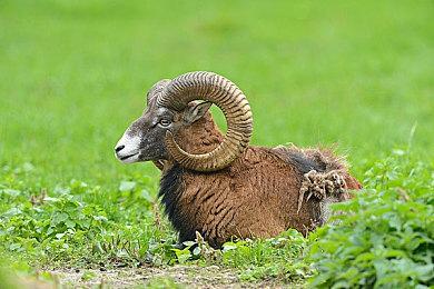 《无尽地牢》9月7日Steam封测 10月19日全平台发售