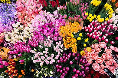 《死亡细胞》重返恶魔城DLC发布上市预告