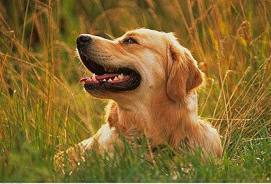 像素末日动作冒险游戏《腐化容器》发布新宣传片 将于25年登陆全平台